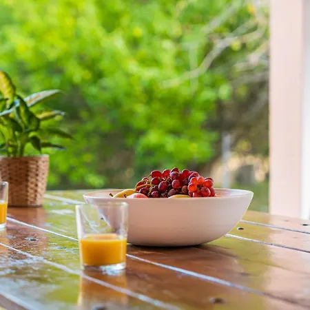 Finca Ses Pomeres Puigpunyent  Zewnętrze zdjęcie